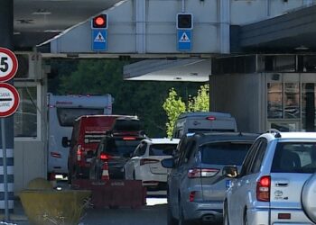 traffico dogana