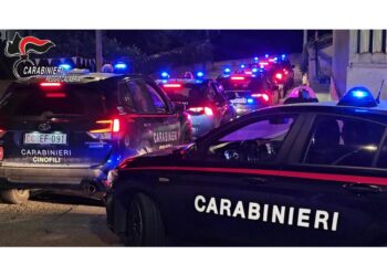 Inchiesta Dda di Reggio Calabria. Colpite le principali cosche