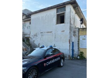 Assassinata brutalmente e cadavere nascosto in un armadio