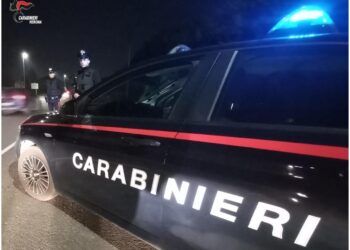 L'episodio avvenne un anno fa a Villafranca di Verona