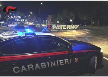 Nel Catanese