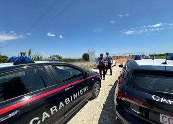 Operazione CC Comando provinciale di Livorno con Ros e Gis
