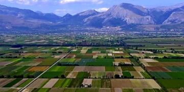Caso denunciato da Flai Cgil che ha chiesto e ottenuto l'asilo