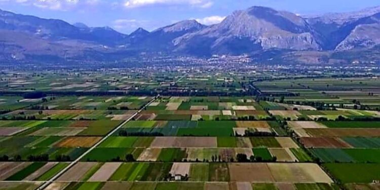 Caso denunciato da Flai Cgil che ha chiesto e ottenuto l'asilo