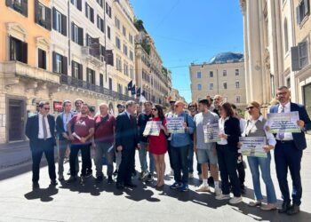 Calenda e D'Amato