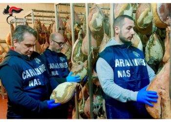 I carabinieri dei Nas hanno scoperto gravi irregolarità