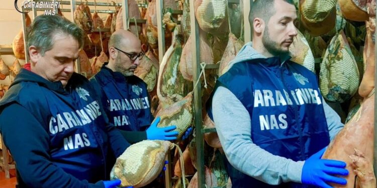 I carabinieri dei Nas hanno scoperto gravi irregolarità