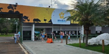 Due animali sono stati trovati morti all'interno della struttura