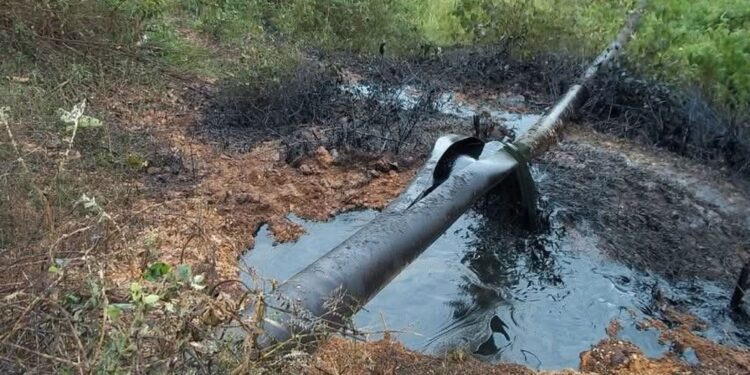 Attribuito dalle autorità all'Esercito di liberazione nazionale