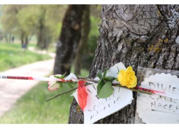 Riconosciuto incendio doloso e possesso stupefacenti