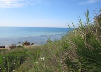 Legambiente Sicilia