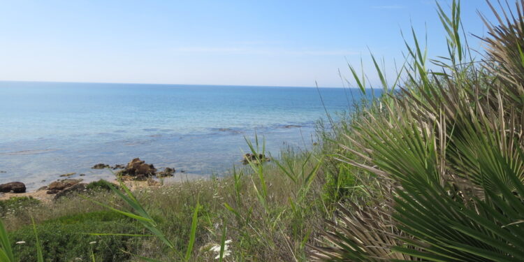 Legambiente Sicilia