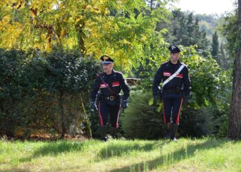 In Corte Assise Grosseto dal 9/7. Ucciso per rapina borse Gucci
