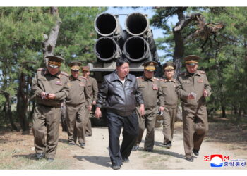 Gruppo monitoraggio: 'Alla Corea Nord in cambio sistema Pantsir'