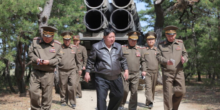 Gruppo monitoraggio: 'Alla Corea Nord in cambio sistema Pantsir'
