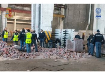 Erano nascosti dentro i container arrivati dal Medio Oriente