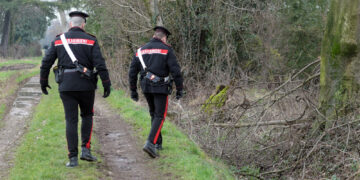 Ricerche dei carabinieri dopo la segnalazione di un testimone