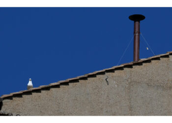 Lo scrive Vatican News sul proprio profilo X