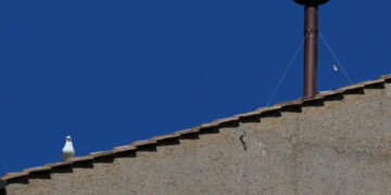 Lo scrive Vatican News sul proprio profilo X