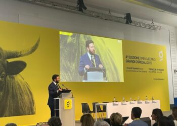 Assessore regionale Sanità al quarto meeting Grandi ospedali