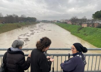 Lavori post-alluvione sui bacini del Lamone e del Marzeno