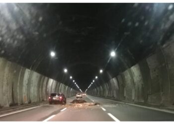 Non dovranno risarcire in caso di condanna
