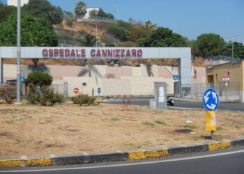 Sarebbe stata colpita da un getto d'acido