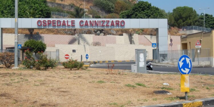 Sarebbe stata colpita da un getto d'acido