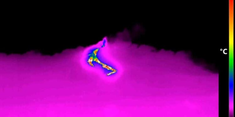 Ampiezza del tremore vulcanico ritornata su valori medio-bassi