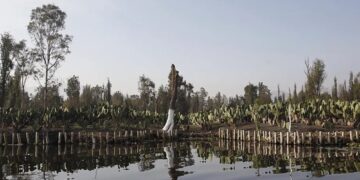 Il Paese presenterà il progetto 'Chinampa Veneta' l'8 maggio