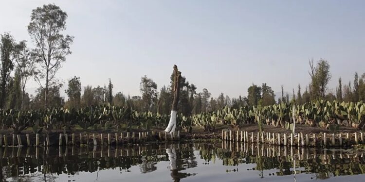 Il Paese presenterà il progetto 'Chinampa Veneta' l'8 maggio