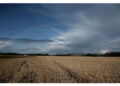 iLMeteo.it