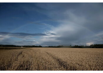 iLMeteo.it