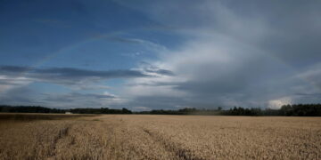 iLMeteo.it