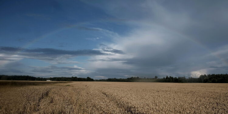 iLMeteo.it