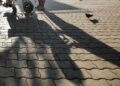Indagini a Pisa scattate dopo segnalazioni vicini e conoscenti