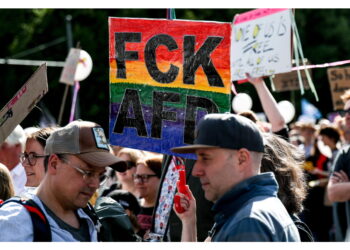 Ricorso Afd contro decisione di etichettarlo 'gruppo estremista'