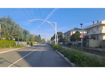 Ricorso Comitato contro delibera Regione