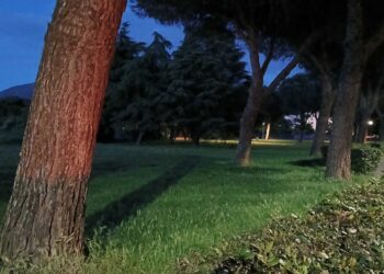 Interrogati hanno ammesso di trovarsi sul luogo del delitto