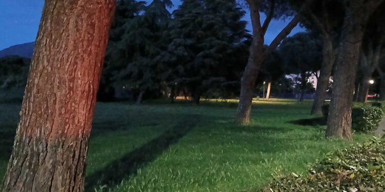 Interrogati hanno ammesso di trovarsi sul luogo del delitto