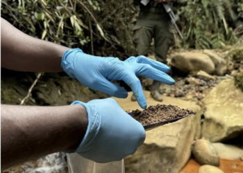 Secondo l'ultimo rapporto dell'Unodc esistono 'le prove'