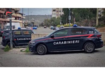 Cognato è stato assassinato lo scorso anno