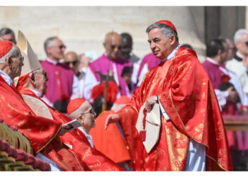 Il cardinale che ha rinunciato a Conclave: 'ho gioito con tutti'