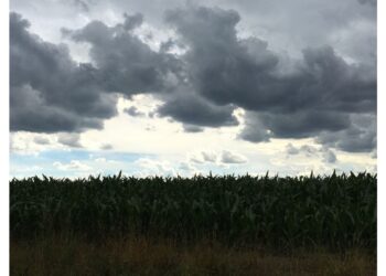 iLMeteo.it