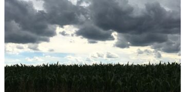 iLMeteo.it