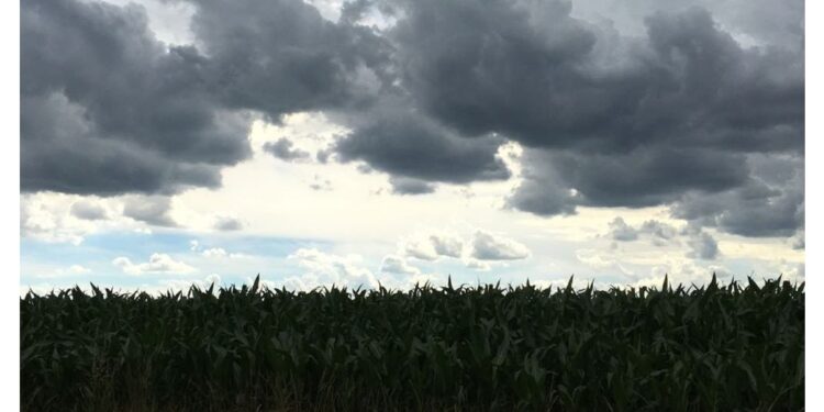 iLMeteo.it