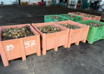 Via a Piano intervento. Fedagripesca sul campo in E-R e Veneto