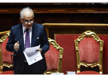 'Possibilità di creare formule di affiancamento ai sindaci'