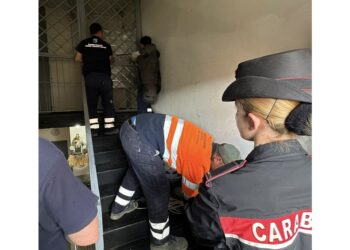 Individuata e sequestrata dai Carabinieri