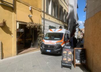 La vicenda nel Rodigino